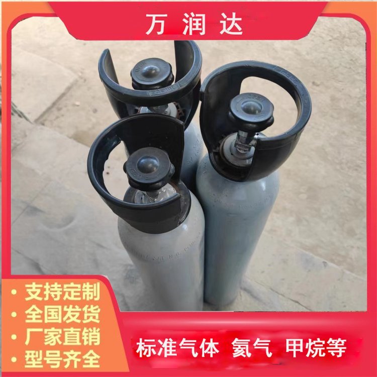 生产标准气体厂家 4L8L40L石油化工标气 现货现发 万润达