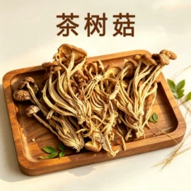 植物提取物;灵芝;羊肚菌