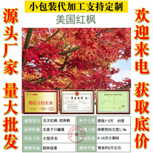 ��ľ�N�Ӽt����N�����������t���N�ӗ��~�r�t���C�lѿ�ʸ߳����