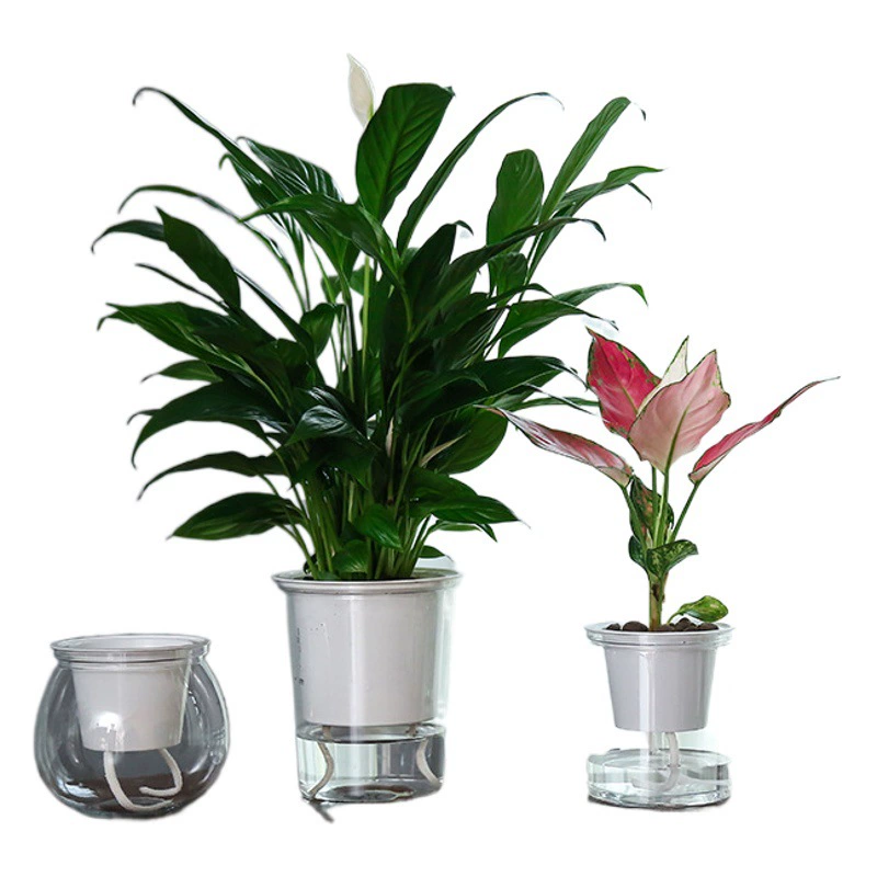 Meixuan Прозрачный цветочный горшок гидропонное культивирование почвы утолщенный круглый пластиковый горшок простой зеленый цветок ленивый самовпитывающийся горшок