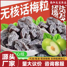 【严选】话梅粒酸梅无核大颗粒话梅袋装孕妇酸零食李干袋装蜜饯