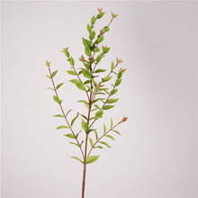 �����ָоGֲ���~�ȼ������X�~�Ҿ��b�c�廨���~�Ƶ�[���٘�