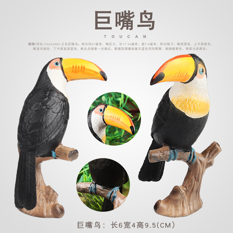 兒童認知玩具仿真鳥類動物模型家居花園擺件實心巨嘴鳥大嘴鳥鸚鵡