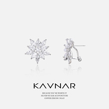 ������⻨�ʯѩ�����A���ᔕr�К��|���925���yᘶ��h�߼���