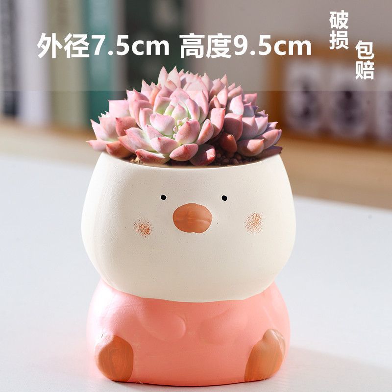 Macetas de cerámica para suculentas con diseño de animales de dibujos animados, pequeño tamaño, para estante de flores en casa, suministro al por mayor