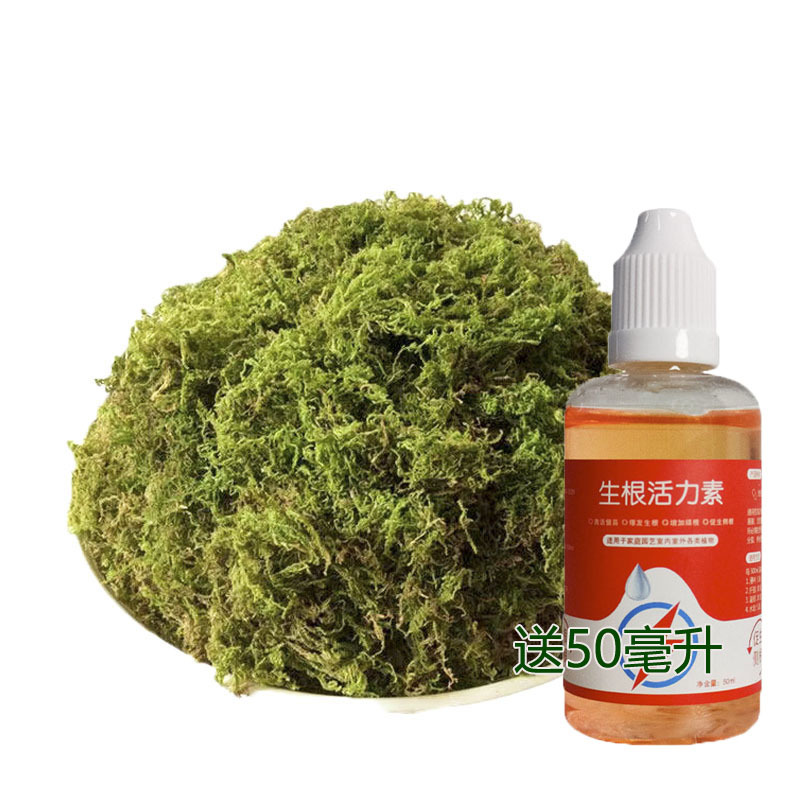 0.5kg 엄선 드라이모스 + 바이탈리티 50ml