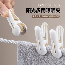 阳台无痕晾晒夹子晒袜子内衣内裤毛巾多功能防风塑料PP夹子批发