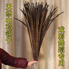 DIY天然野山鸡毛野鸡羽毛翎野鸡尾京戏曲翎子山鸡尾10-100厘米