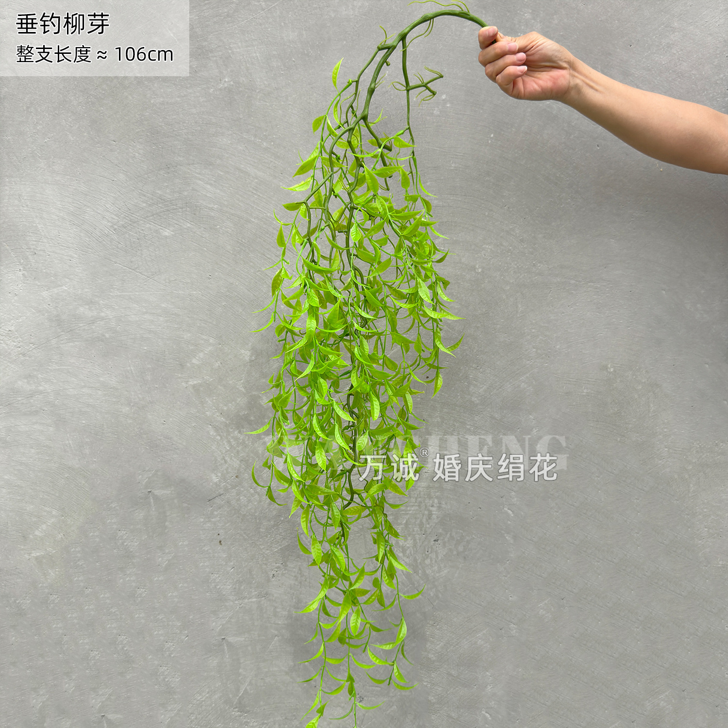 Fishing for willow buds