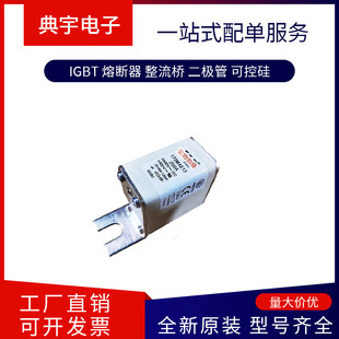 Fuse 170m4815 4822 4823 4824 4825 4826 4827 4828 Complete Models