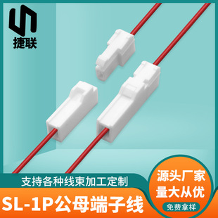 ����SL-1P���Ӿ���ĸ���Ӿ�3.96�g����Ќ��Ӷ��Ӿ������P��Ӿ�