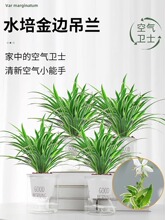 ��߅���m�����҃ȿ͏dֲ�ﻨ���·����Ã����՚�ˮ�����˴������l