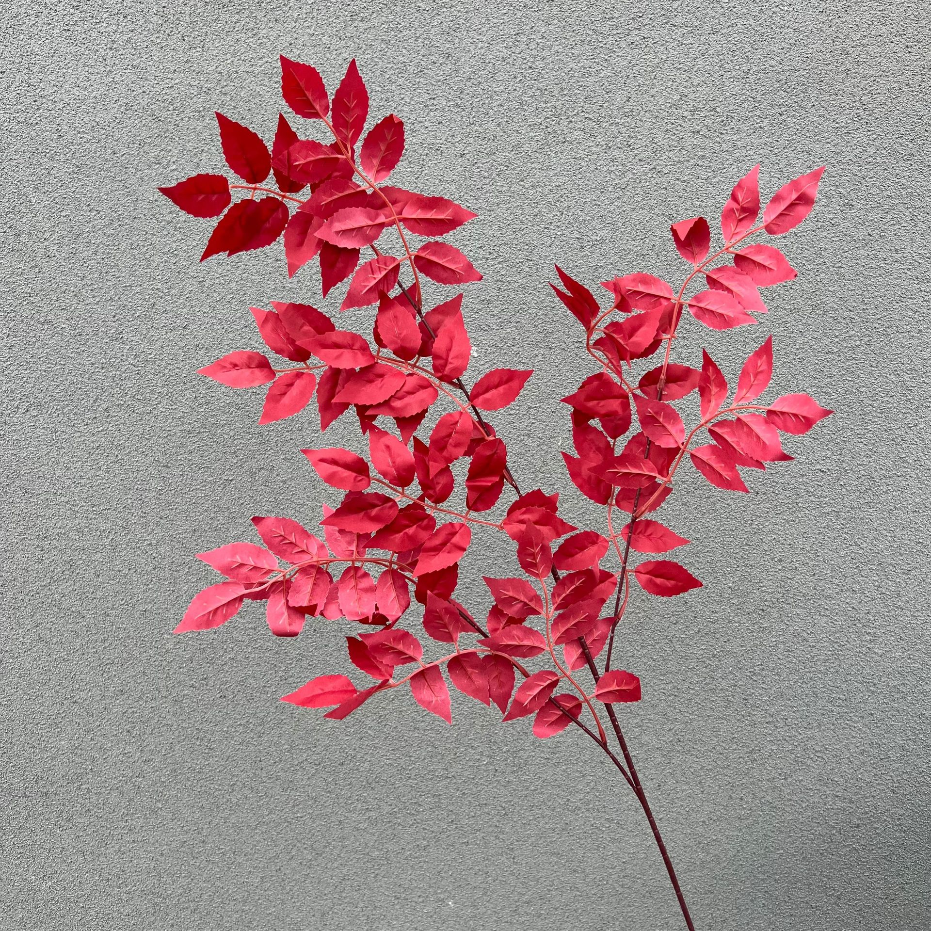 새로운 붉은 얼음 심장 잎