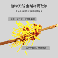 Wholesale Dishwashing Mousse Pet Utensil Cleaning Antibacterial for Cats and Dogs Universal Silver Ion Dish Soap Detergent