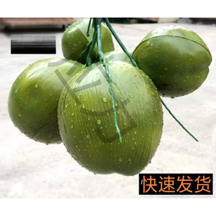 �����Ҭ����Ҭ��Ҭ������Ҭ�Ә�����ϵ��� ����ˮ����ˮ���b�