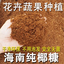 海南椰糠营养土育苗花卉种菜有机肥料绿萝生根土椰砖土花泥包邮