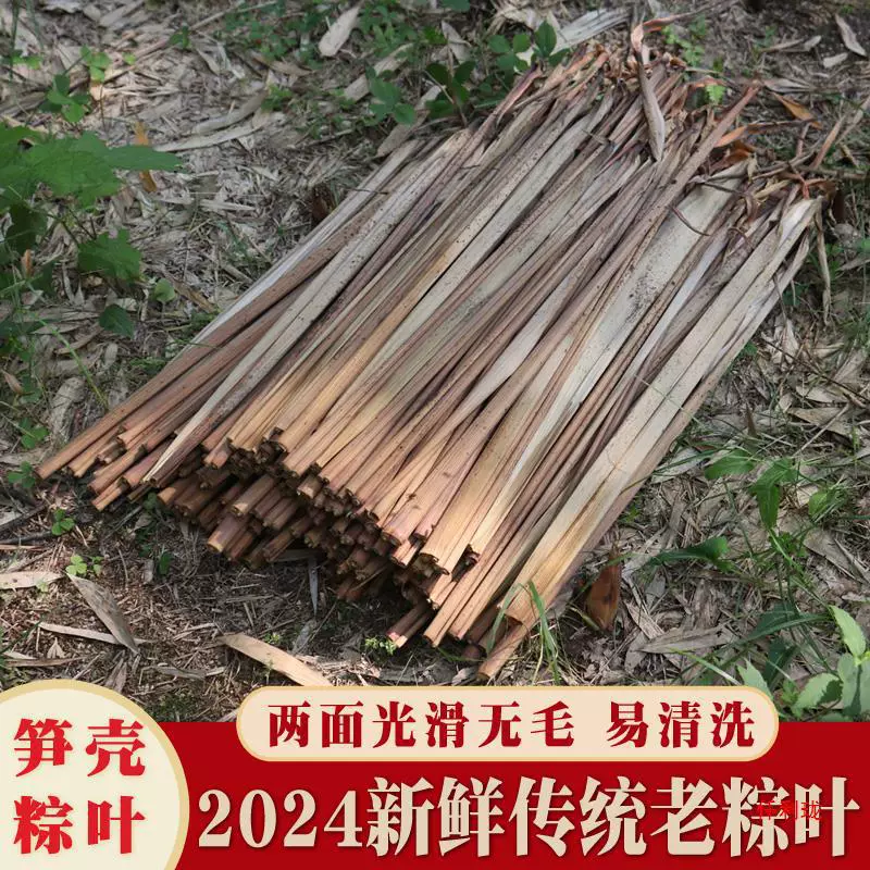 Свежие большие сушеные листья зонгзи, побеги бамбука Даишань, побеги бамбука для упаковки зонгзи, листья тростника, традиционный бамбук мосо, бамбук нан, фестиваль лодок-драконов.