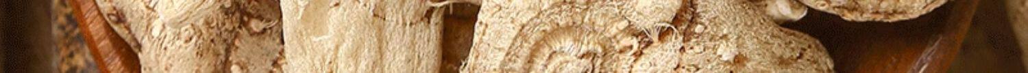 Bai Ji Dried Bletilla Slices Bai Ji 白及 100g Sliced Chinese Herbal Slices for Decoction and Traditional Use overview