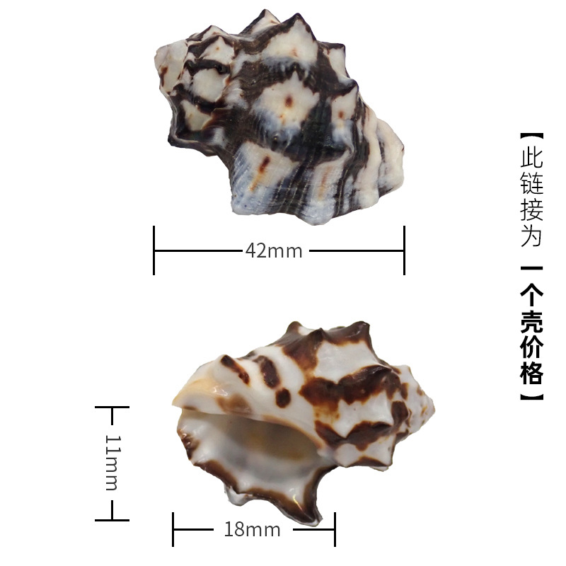 3-4cm 크랩에 적합한 X21 소 껍질 중간 크기