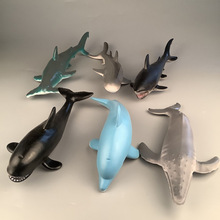 海洋动物系列鲨鱼鲸鲨海豚锤头鲨鲸常年出口批发商超市可售海洋馆