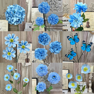 ���滨���{ɫ�廨��Y�b�·���������F���{��c����Ī�λ��@֮��