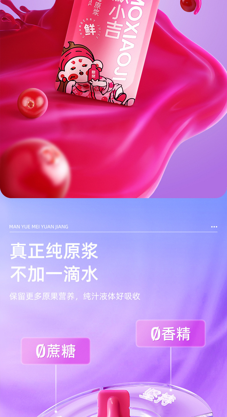 Wild Cranberry Puree Juice Drink 210ml Boxed 100 Percent Concentrate specifications