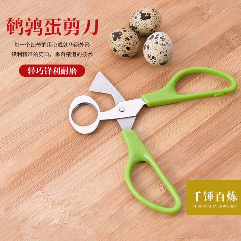 Stainless steel quail egg scissors Sparrow egg scissors new bird egg scissors egg cutter egg shell breaking tool kitchen artifact