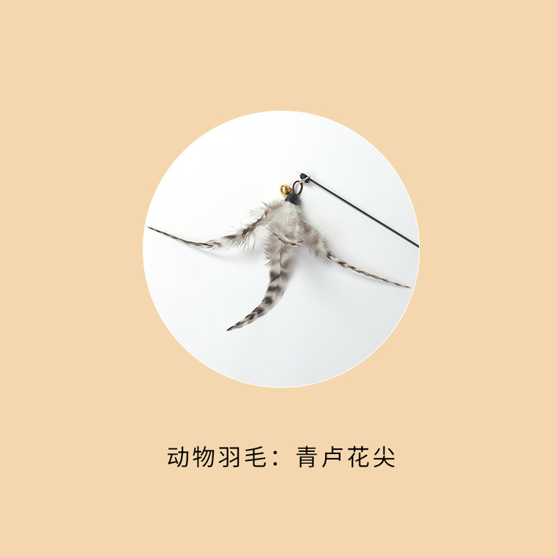 CFA試合級の猫をからかう棒の木の柄は猫のおもちゃの羽の子猫をかむことに耐えます。|undefined