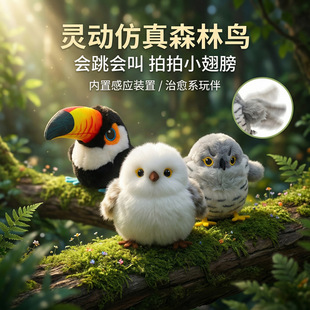 �羳������߱���؈����涶���н��B���˽␞늄Ӱl��؈����Ʒ