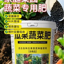 瓜果蔬菜肥有机肥种蔬菜农用通用氮磷钾复合肥种菜肥料家庭版