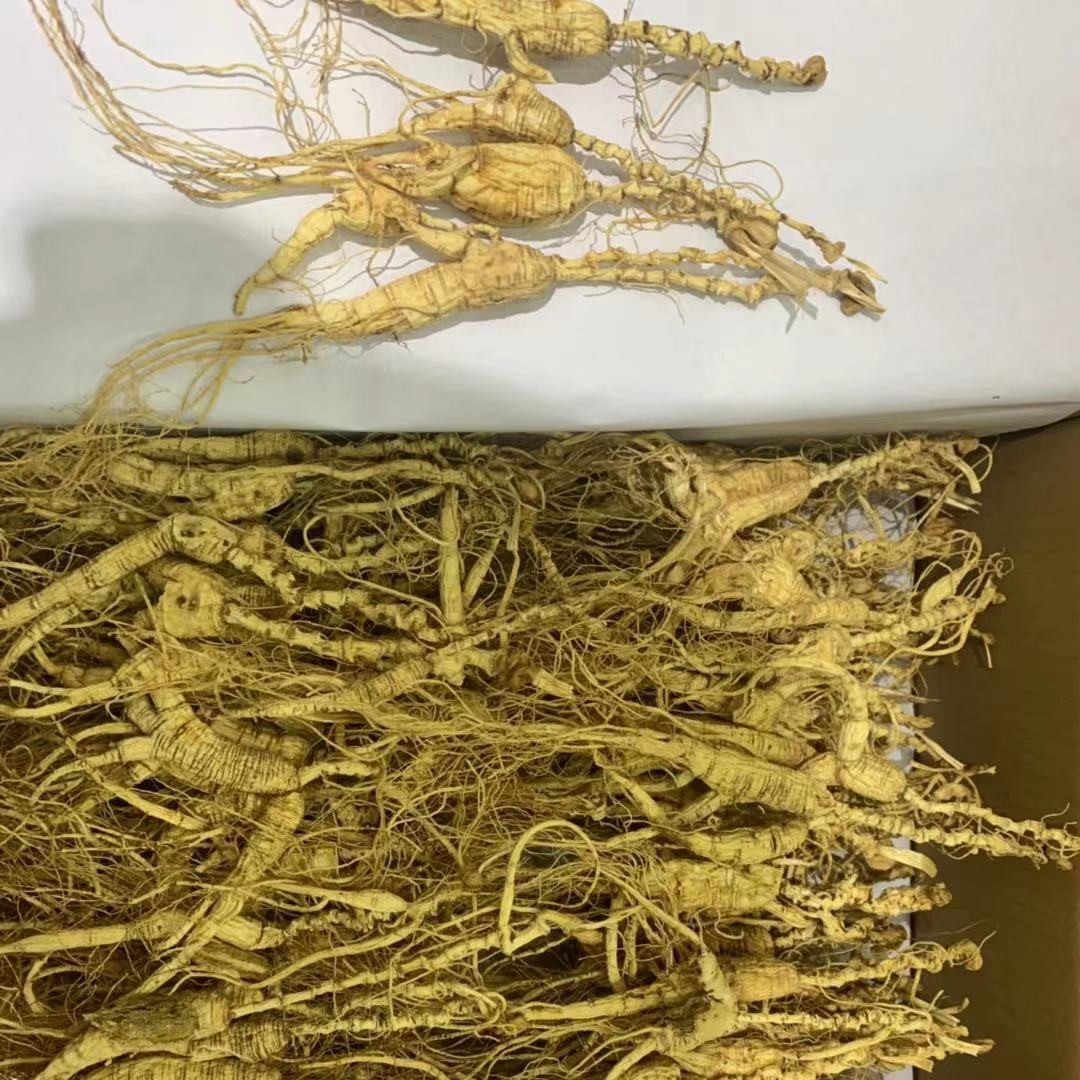 长白山林下山参 林下籽货  干参  打粉料 钉板货 高年头