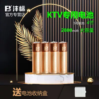 Fengbiao Rechargeable Battery 2800 Hibrid akkumulyator batareyaları - no5-2800-ma-battery-4