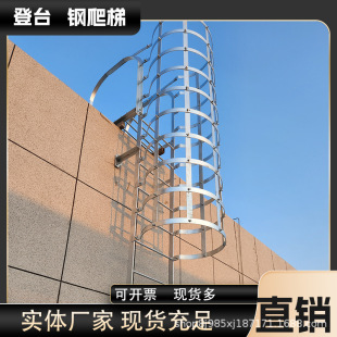 不锈钢爬梯钢爬梯基坑爬梯上人屋面检修爬梯镀锌钢爬梯垂直钢爬梯-阿里巴巴