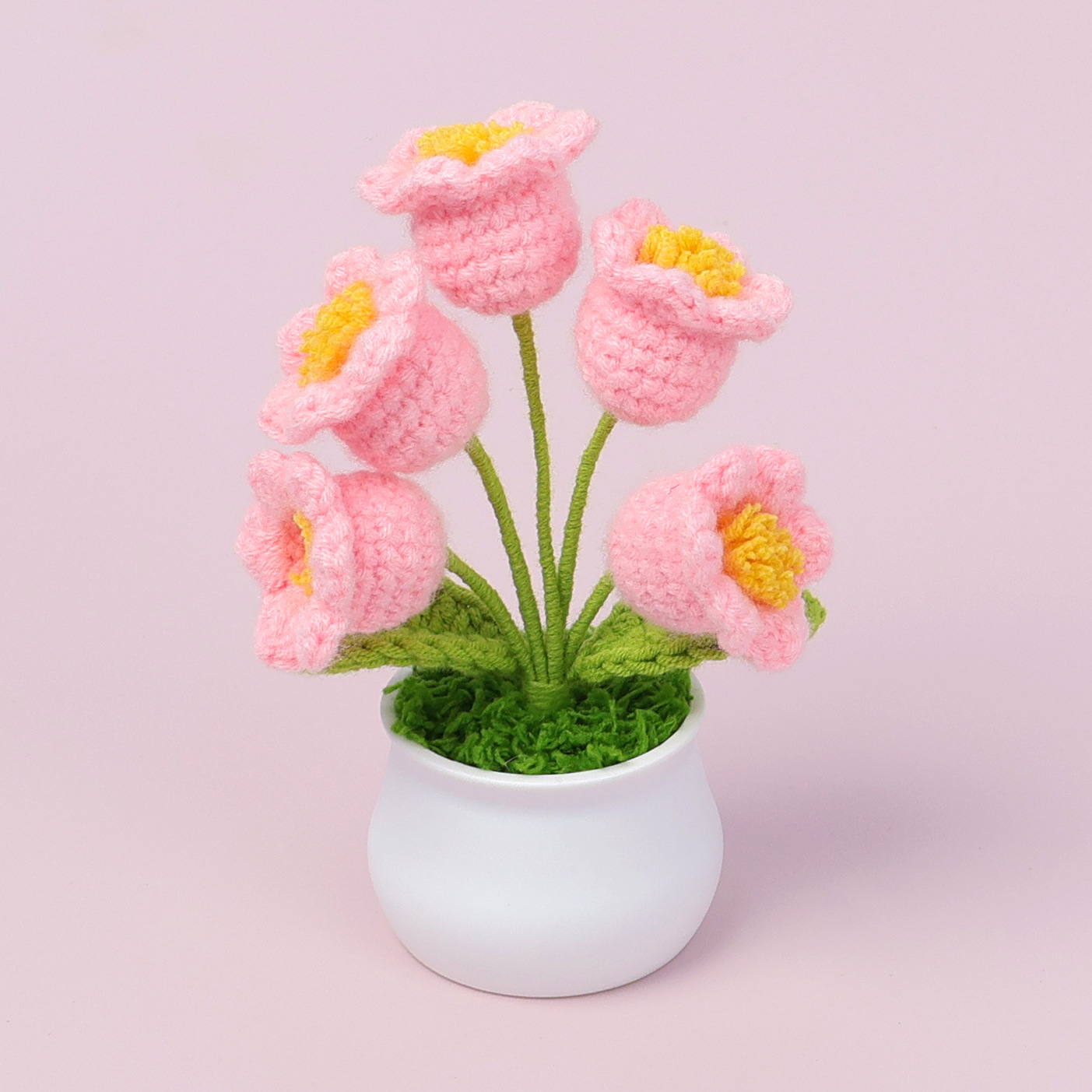Orquídea rosa (5 cabezas) Pequeña planta en maceta