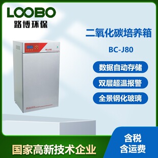 ���׼t�� ����Ҷ�����̼�������B��CO2���B��