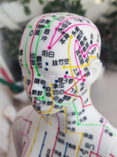 ����Ѩλģ���˿��ֳ�������������ģ��ͼ��ҽͭ�����ѨλС��