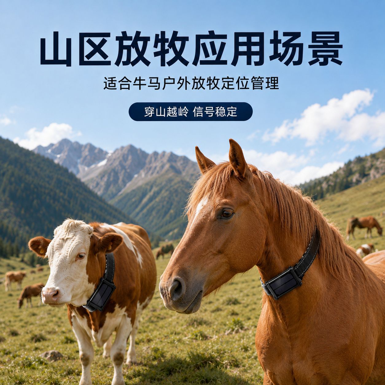 GPS cattle and sheep locator, mountain pasture tracking device, solar-powered Beidou collar, tamper-proof, 20,000 mAh