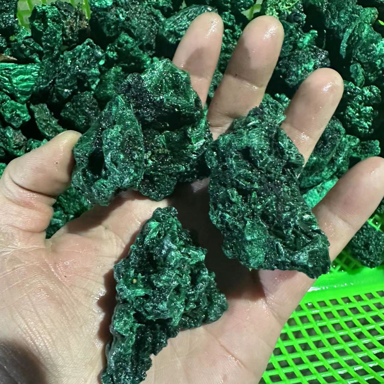 微信图片_20230203195239