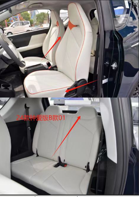 Chery EQ1 Little Ant Seat Cover Full Surround Perforated Leather