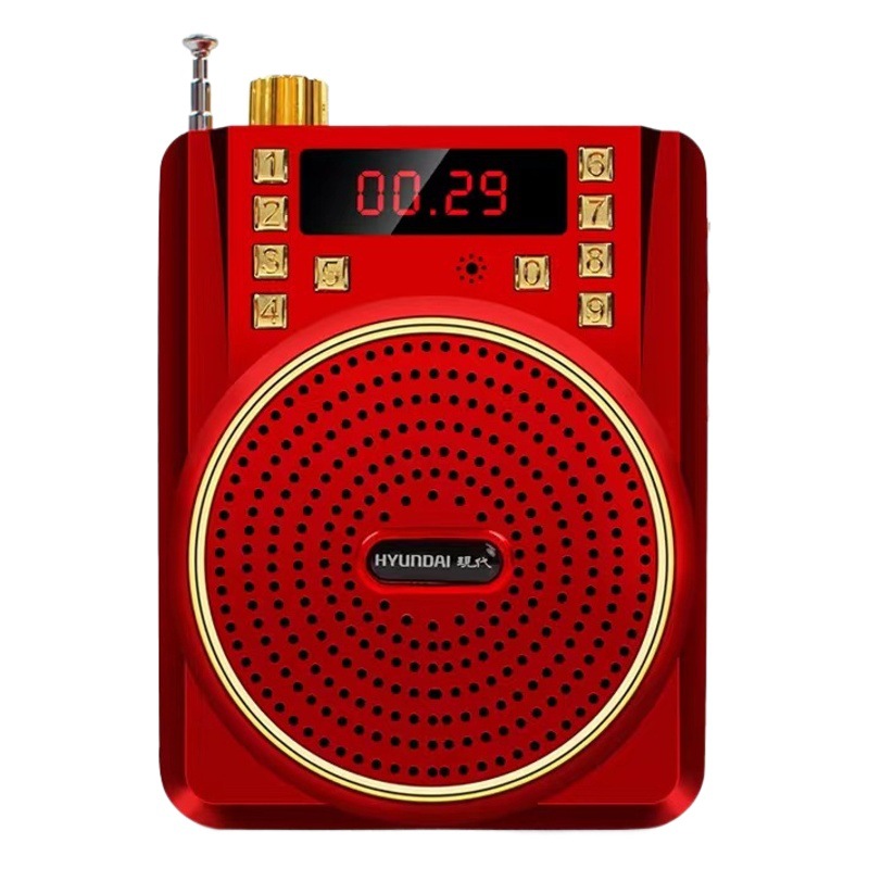 Nuobi Bee Teacher Lecture Professional Portable Shopping Guide Shouting Big Speaker Wireless Microphone Loudspeaker