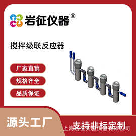 岩征仪器 连续搅拌罐反应器 反应器厂家