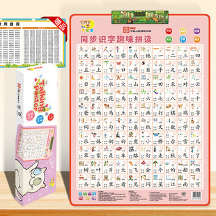 Wholesale Primary School students synchronous literacy vocabulary sound voice literacy card audio wall chart factory one-piece delivery