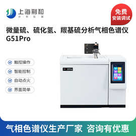荆和 气体中的微量硫、硫化氢、羰基硫分析专用G51Pro气相色谱仪