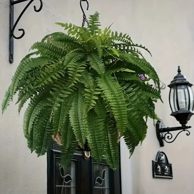 人造蕨类植物塑料花盆栽波斯假植物Artificial Boston Fern Swags