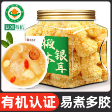 ЙCľy؛СyѩƷŴyѩzyǼʳ