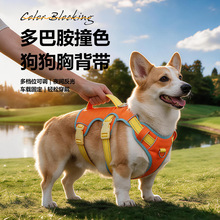 新款狗狗牵引绳反光防挣脱狗狗胸背带防爆冲三段式狗绳子链子批发