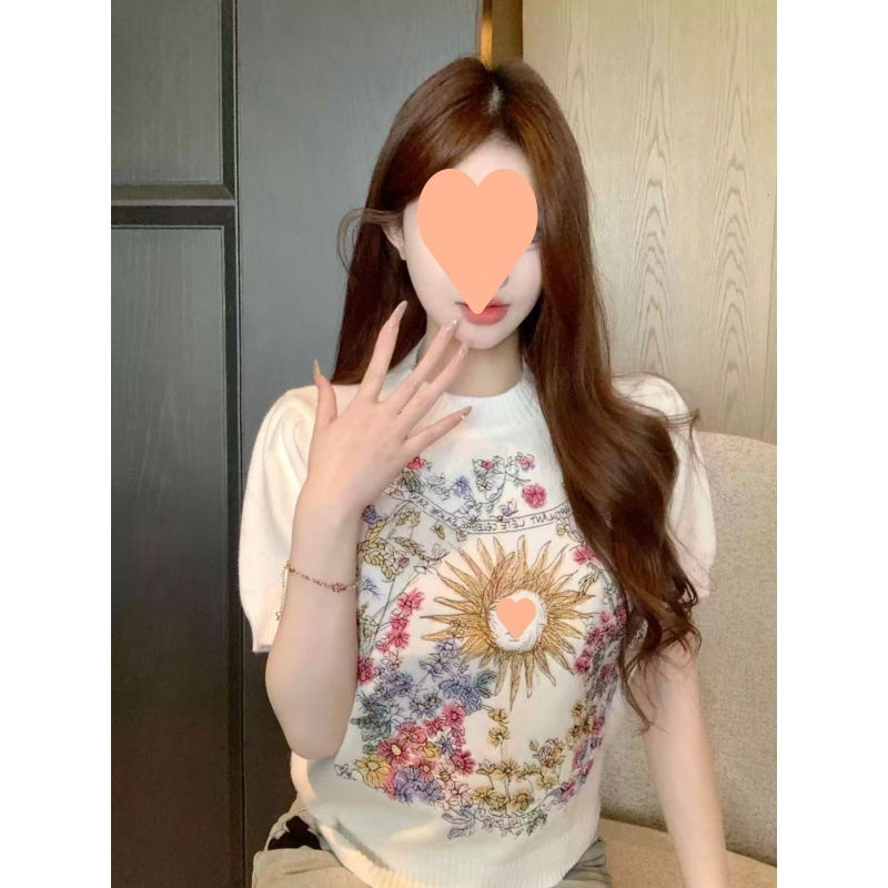 Zhong Feifei Spring Embroidered Knitwear Short-Sleeved Knitwear Women's 2025 New Style Unique and Beautiful Top with Super Good Elegant