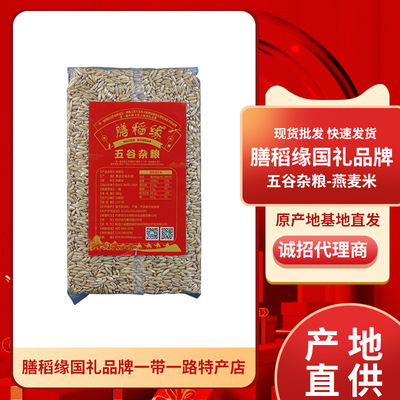 廠家批發五谷雜糧燕麥米 真空雜糧燕麥米 低溫烘焙五谷雜糧燕麥米
