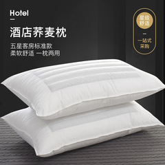 Hotel Pillow Core Hotel Pillow Buckwheat Dual-Purpose Pillow Core White Buckwheat Pillow Feather Velvet Pillow White Wholesale
