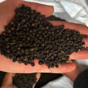 �ں�����50g�����خaţ�������C��偰׺���ɢ�������ں���������